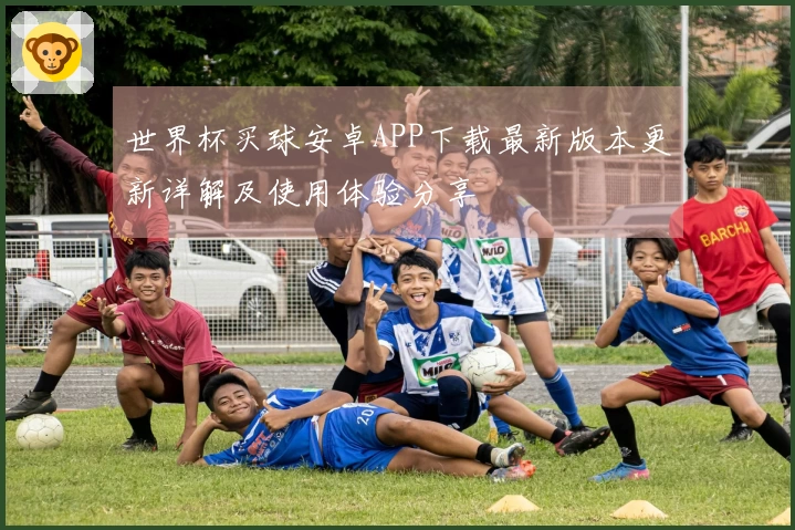 世界杯买球安卓APP下载最新版本更新详解及使用体验分享