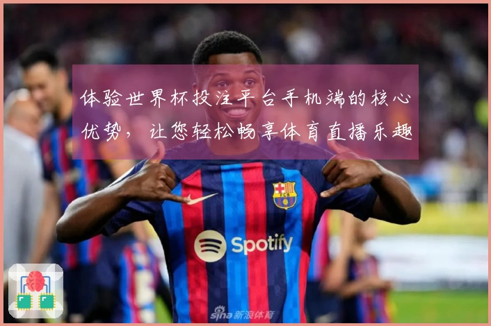 体验世界杯投注平台手机端的核心优势,让您轻松畅享体育直播乐趣