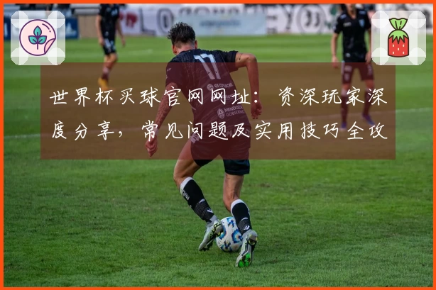世界杯买球官网网址:资深玩家深度分享,常见问题及实用技巧全攻略