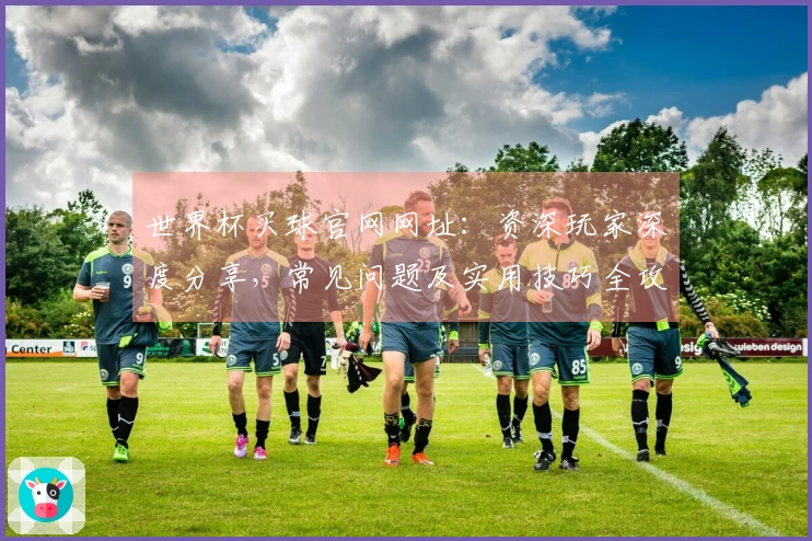 世界杯买球官网网址：资深玩家深度分享，常见问题及实用技巧全攻略