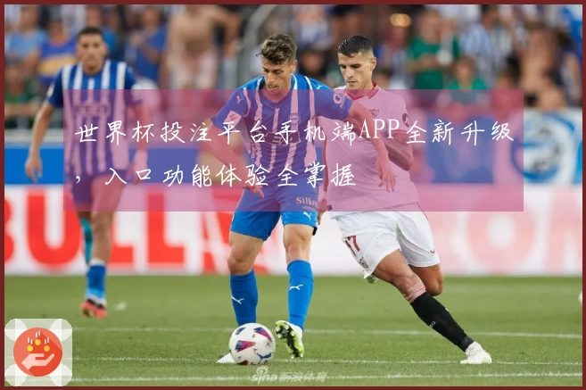 世界杯投注平台手机端APP全新升级,入口功能体验全掌握